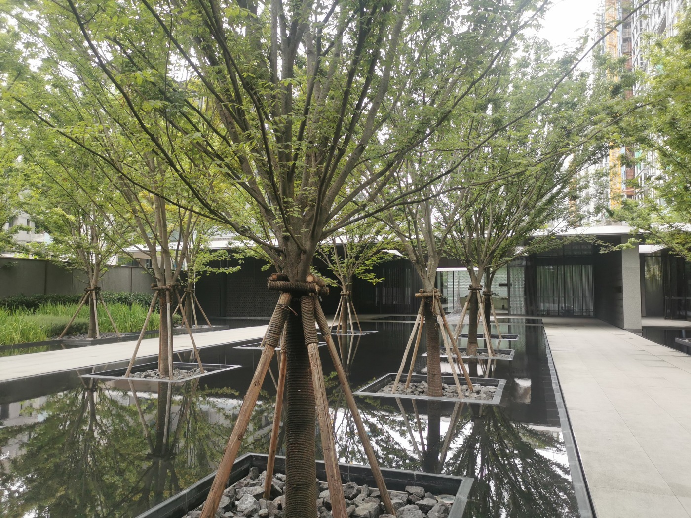 锦江上院4室2厅3卫南朝向15000.00元/月出租