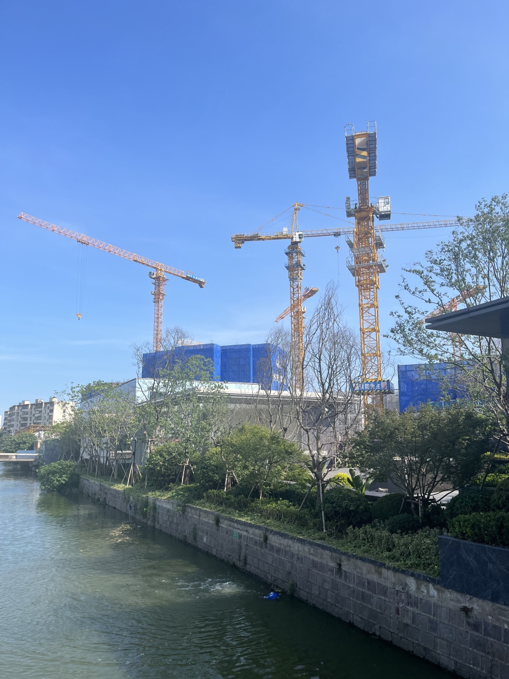 中海·江東兴樾3室2厅2卫南朝向5600.00元/月出租