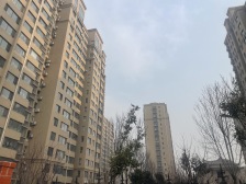 市府东南,紫瑞园,价格可议,低楼层