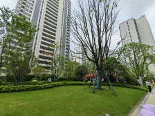 金茂悦户型好,格局好,房东诚心出售