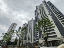 高品质小区 金茂悦 小三房 中间楼层 诚心卖