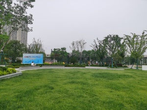 陶冲湖畔168旁,安医一附院,地铁四号线,交通便利,