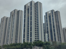 楼层好,视野宽阔,采光充足,交通便利