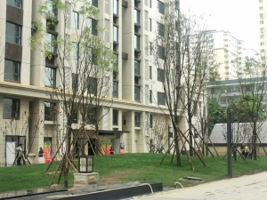 敦煌路仁恒真彩毛坯三室业主急售