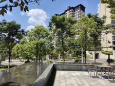 国企开发 高品质洋房 居住体验好 改善优选