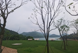九龙湖镇芯好房,生态优越,交通教育生活一应俱全