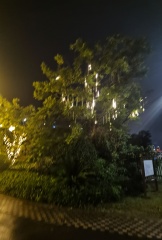 华鸿招商·君雍璟府,视野开阔,采光好,出行方便
