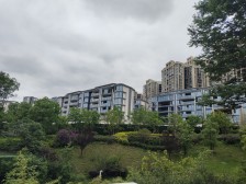 小高层 中粮品质小区 次新楼盘 看中庭安静还能看点江