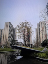 天鹅堡121平全新4房,好楼栋好楼层,视野很漂亮