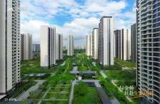 科学大道金桥西棠 双卫三房 低楼层 位置好