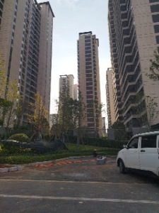 恒伟·君樾洋湖4室1厅东东南南