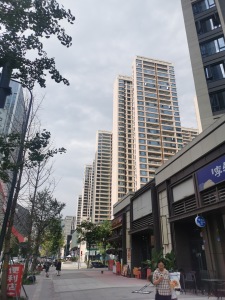 中海天府里云岭一期3室2厅南北