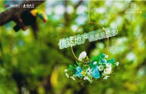 房子横厅设计,看房方便,带80平阁楼,带40平露台