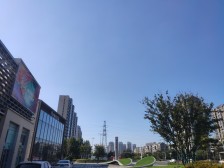 一楼三层复试带+院喜鹊产品耳朵户型