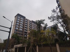 轻轨口的高品质楼盘,时尚动感的外立面,一楼全架空层