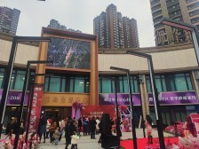 海棠溪 和记黄埔御峰四期(御峰尚城)二房110万