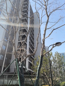 诚心急卖楼层视野好买房给全屋定制家具楼层视野好