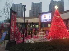 海棠溪 和记黄埔御峰三期(御峰尚都)二房100万