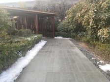 11层小高层,采光好,东打头,采光好,诚心卖