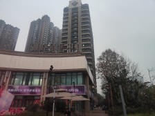 轨道叠拼别墅 上叠 带花园 带露台 视野开阔