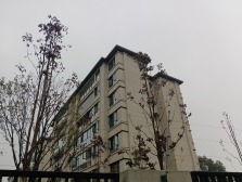 悦来 保利拾光年一期三房149.8万