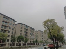 保利品质洋房,旁边没得对手,小区环境好