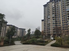 星悦礼玉金湾观悦庭 3室2厅 东