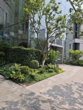 长嘉汇朗峯精装正规三房,带空调地暖新风 改善社区