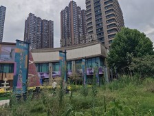 海棠溪 和记黄埔御峰四期(御峰尚城)二房95万