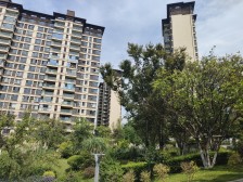 一线视野江景、5多金花+7龙珠、礼嘉板块独有的洋房