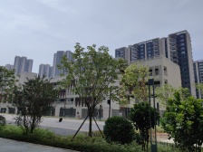 虎门高铁站三轨交汇新楼盘,全新新房未入住 高楼层