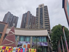 海棠溪 和记黄埔御峰三期(御峰尚都)三房115万