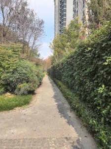 麓鸣九天麓吟苑3室2厅东南南