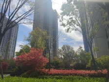 内环附近,300米到电梯口,一梯两户,电梯中间楼层