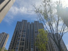 近地铁,产权清晰,现场实勘必看好房