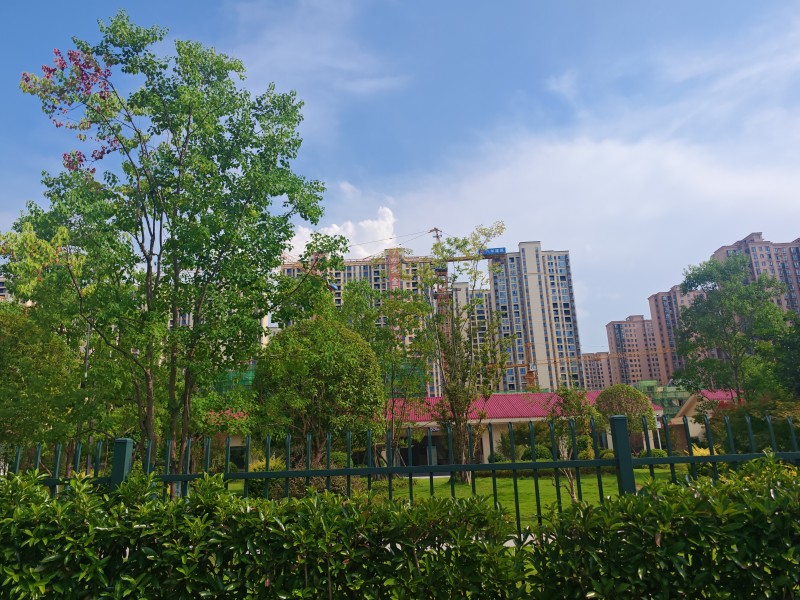 天心区学区房选购分析:兼顾教育确定性及居住品质的配套楼盘参考