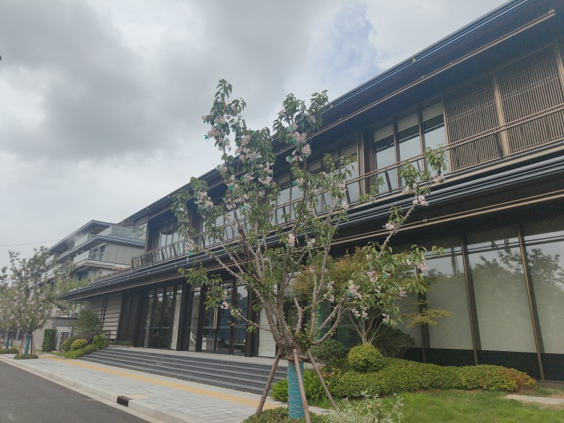 买印象青城之前,先搞清楚青浦新城的学校划片逻辑