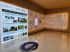 现房销售全新毛坯 无缝连接公园 玻璃加铝板外立面