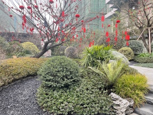 华润置地&建发天府和鸣4室2厅南