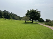 黄龙溪谷大平层,套三大阳台,采光明亮,视线开阔