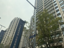 中海渝中云锦 精装四房 采光好 出行方便 诚心出售