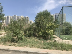 西万达商圈优质房源,成熟配套。户型方正