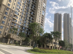 深业堤亚纳湾二期5室2厅南北