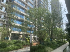 保利艾溪湖 南北通透,采光好 中间楼层