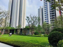 正规商品房 带电梯 双卫格局 交通便捷 商业配套成熟 楼层好