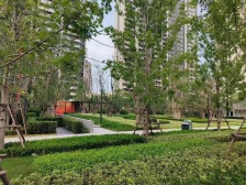 永威金桥西堂大平层出售业主 急卖看房有钥匙