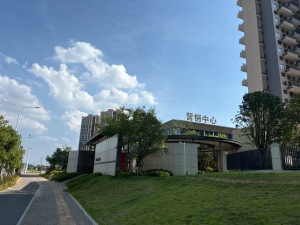 绿洲雅宾利138平复式住宅清水毛坯业主自费搭了板