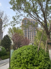 丽苑太和,2025年初精装交付住宅,交通便利