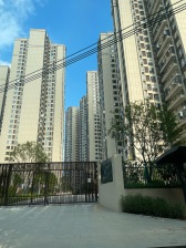 朝安金茂悦横厅大四房南北对流采光好全新房满二