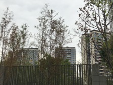 中国铁建西派宸樾 3室2厅 东南